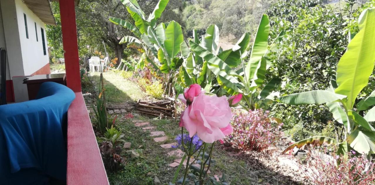 Finca Umnisa - Чоачи Екстериор снимка